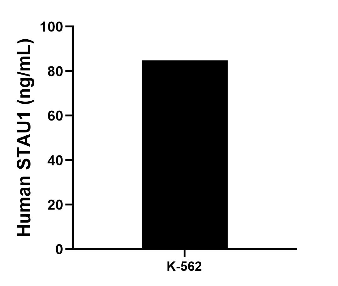 Sample test of MP01603-2