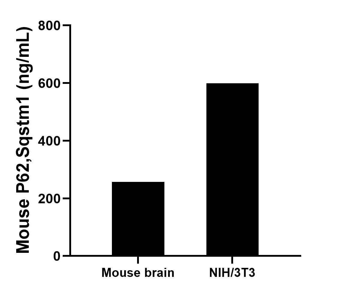 Sample test of MP01608-2