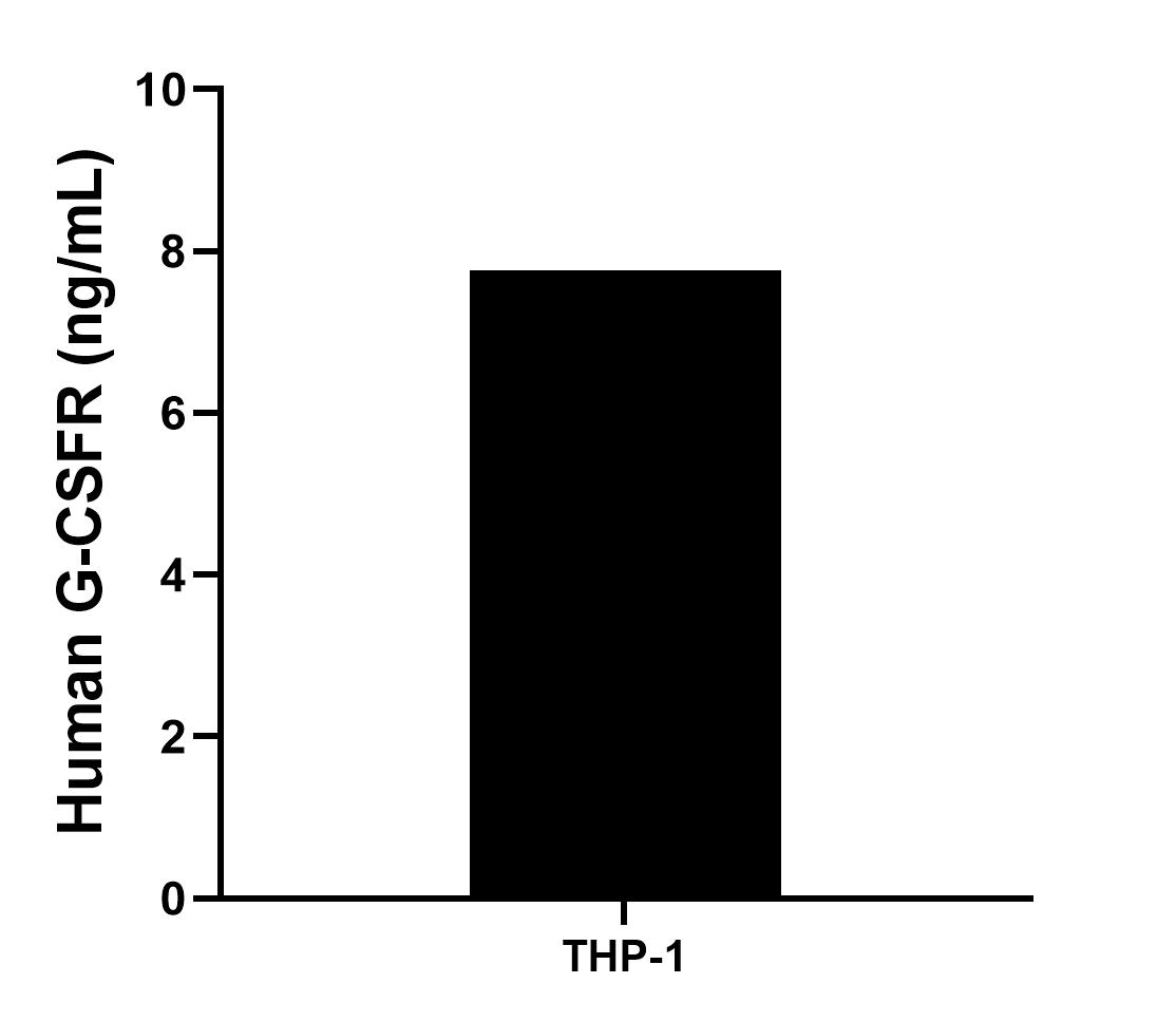 The mean G-CSFR concentration was determined to be 7.76 ng/mL in THP-1 cell extract based on a 4.4 mg/mL extract load.