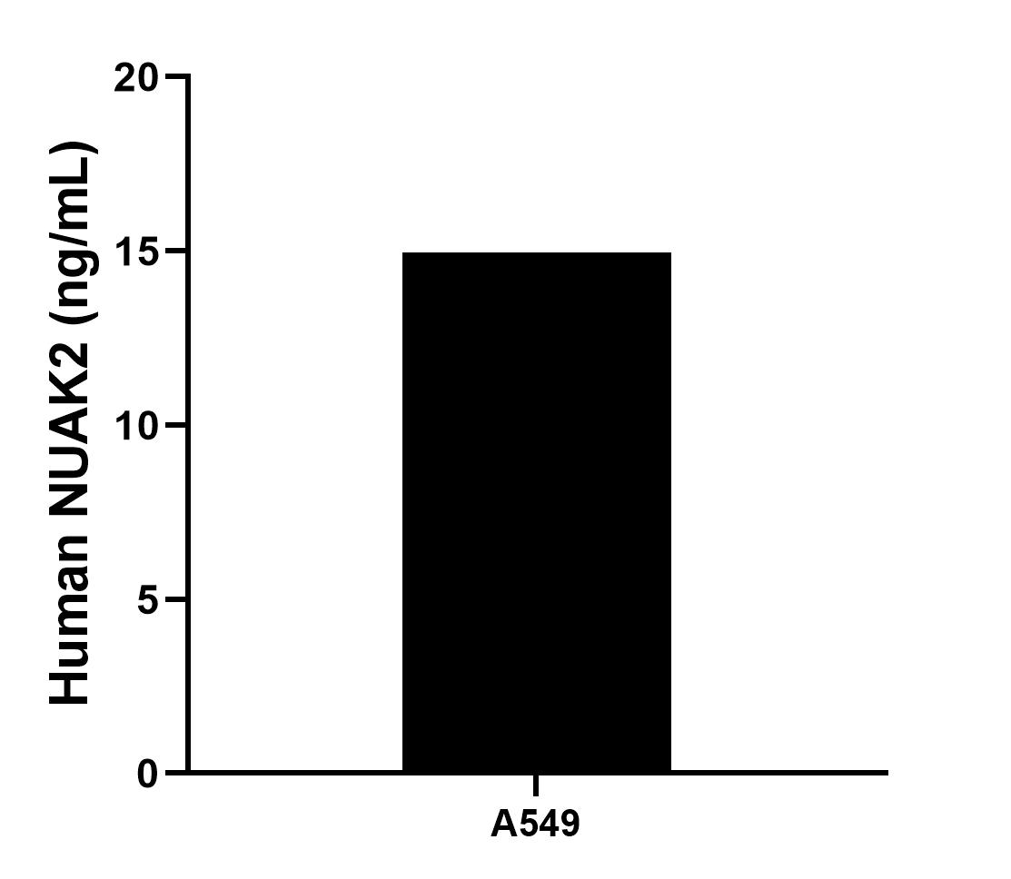 Sample test of MP01626-3