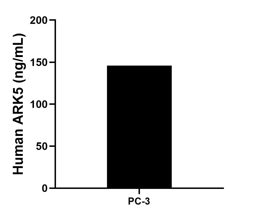 Sample test of MP01658-1