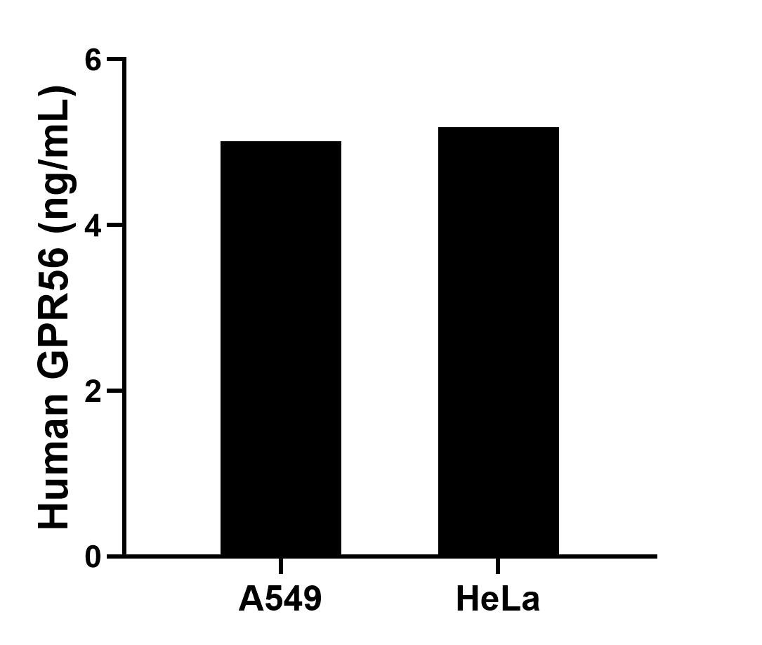 Sample test of MP01673-1