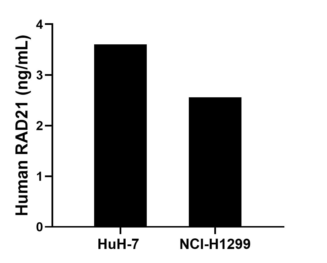 Sample test of MP01677-2