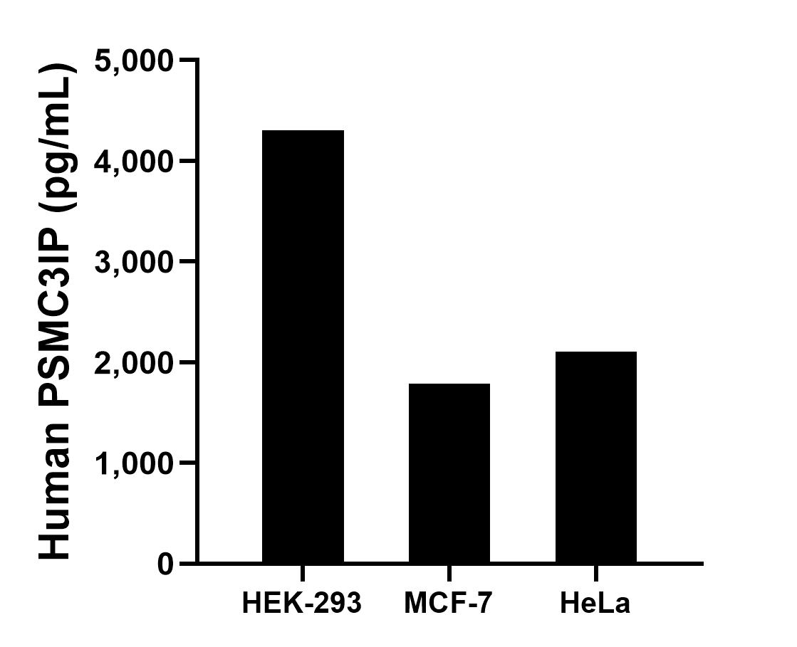 Sample test of MP01685-2