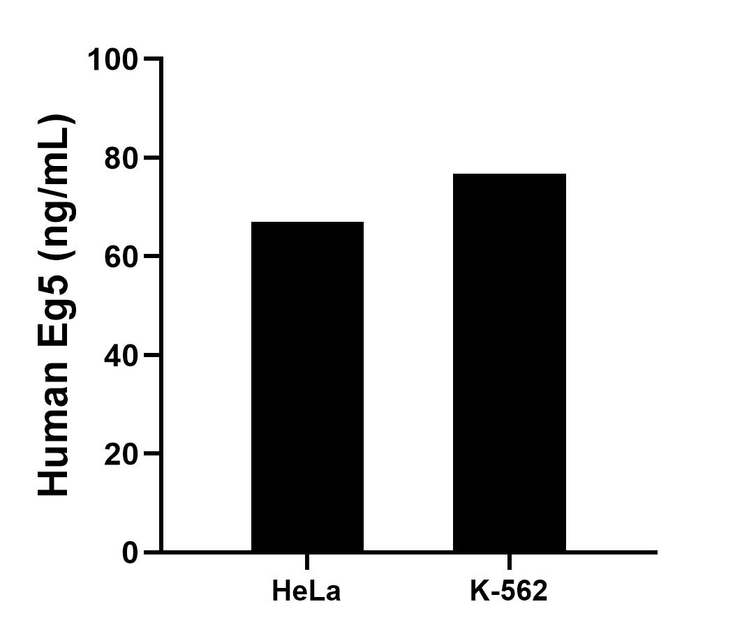 Sample test of MP01688-1