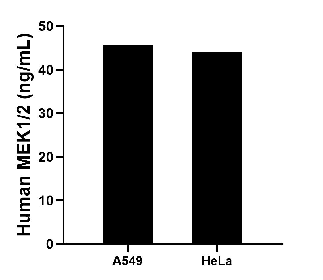 Sample test of MP01692-1