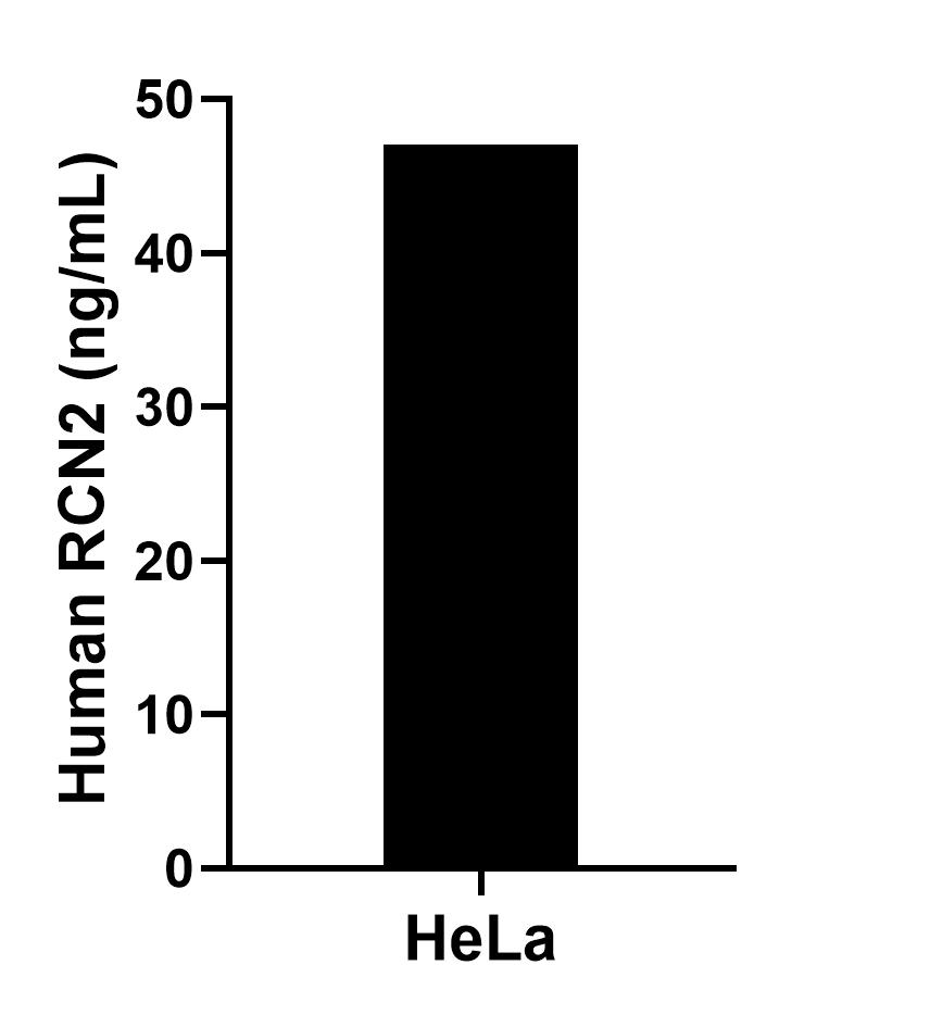 The mean RCN2 concentration was determined to be 47.0 pg/mL in HeLa cell extract based on a 1.8 mg/mL extract load.