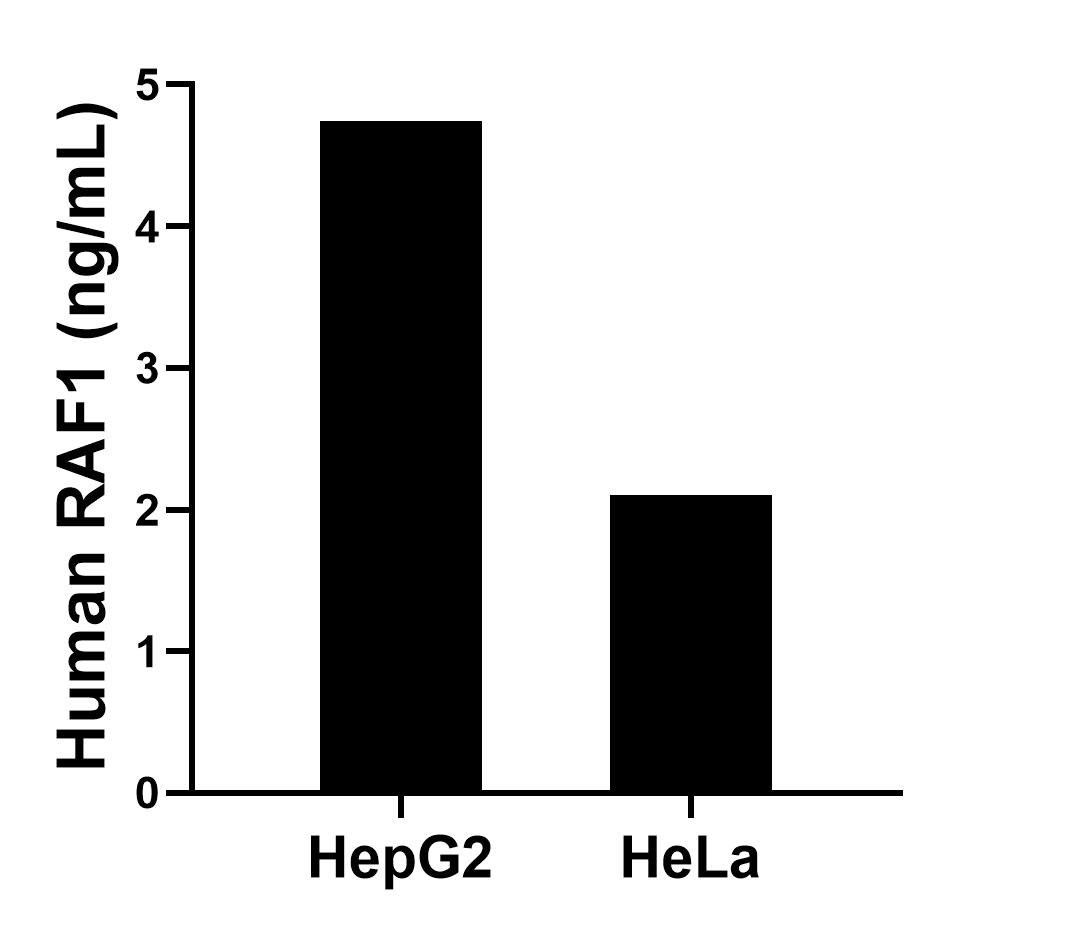 Sample test of MP01739-1