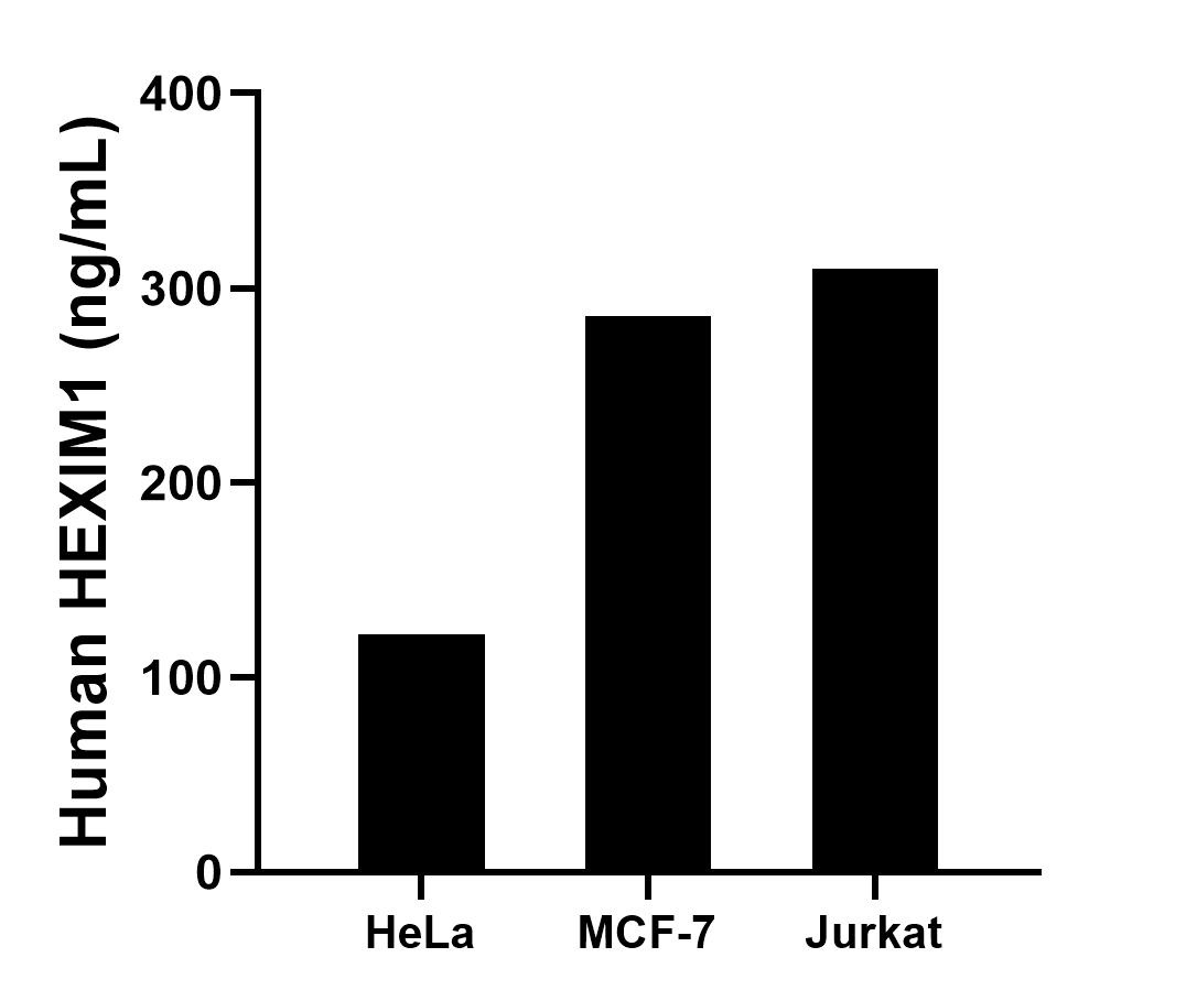 The mean HEXIM1 concentration was determined to be 122.36 ng/mL in HeLa cell extract based on a 1.50 mg/mL extract load, 285.55 ng/mL in MCF-7 cell extract based on a 3.50 mg/mL extract load and 310.04 ng/mL in Jurkat cell extract based on a 3.10 mg/mL extract load.