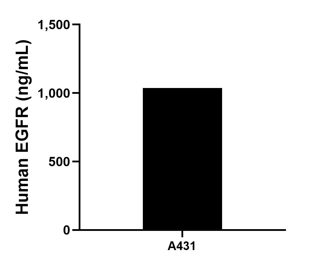 Sample test of MP01744-3