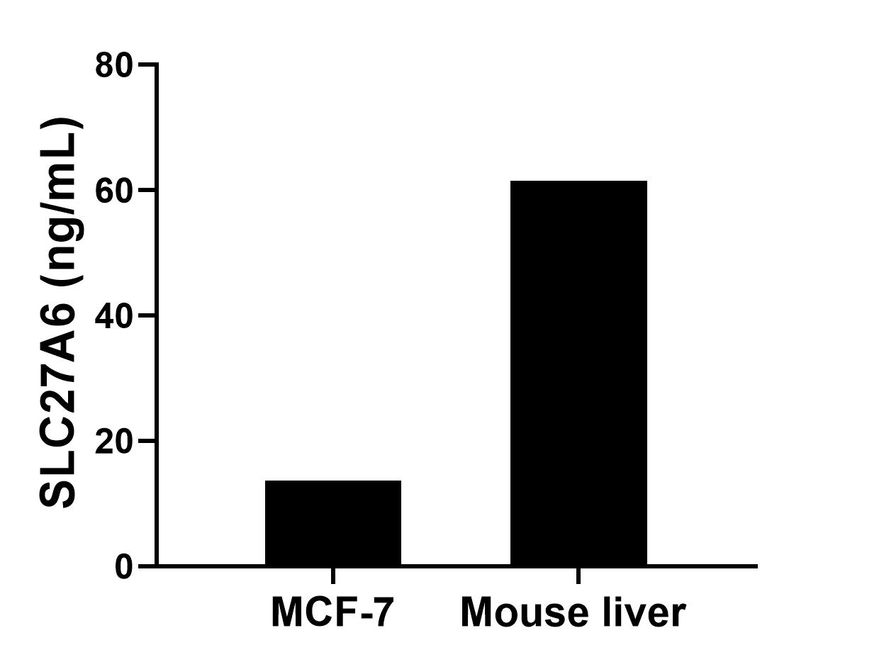 Sample test of MP01755-2