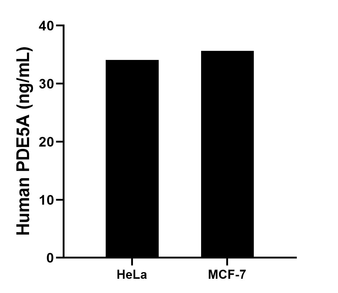 Sample test of MP01762-3