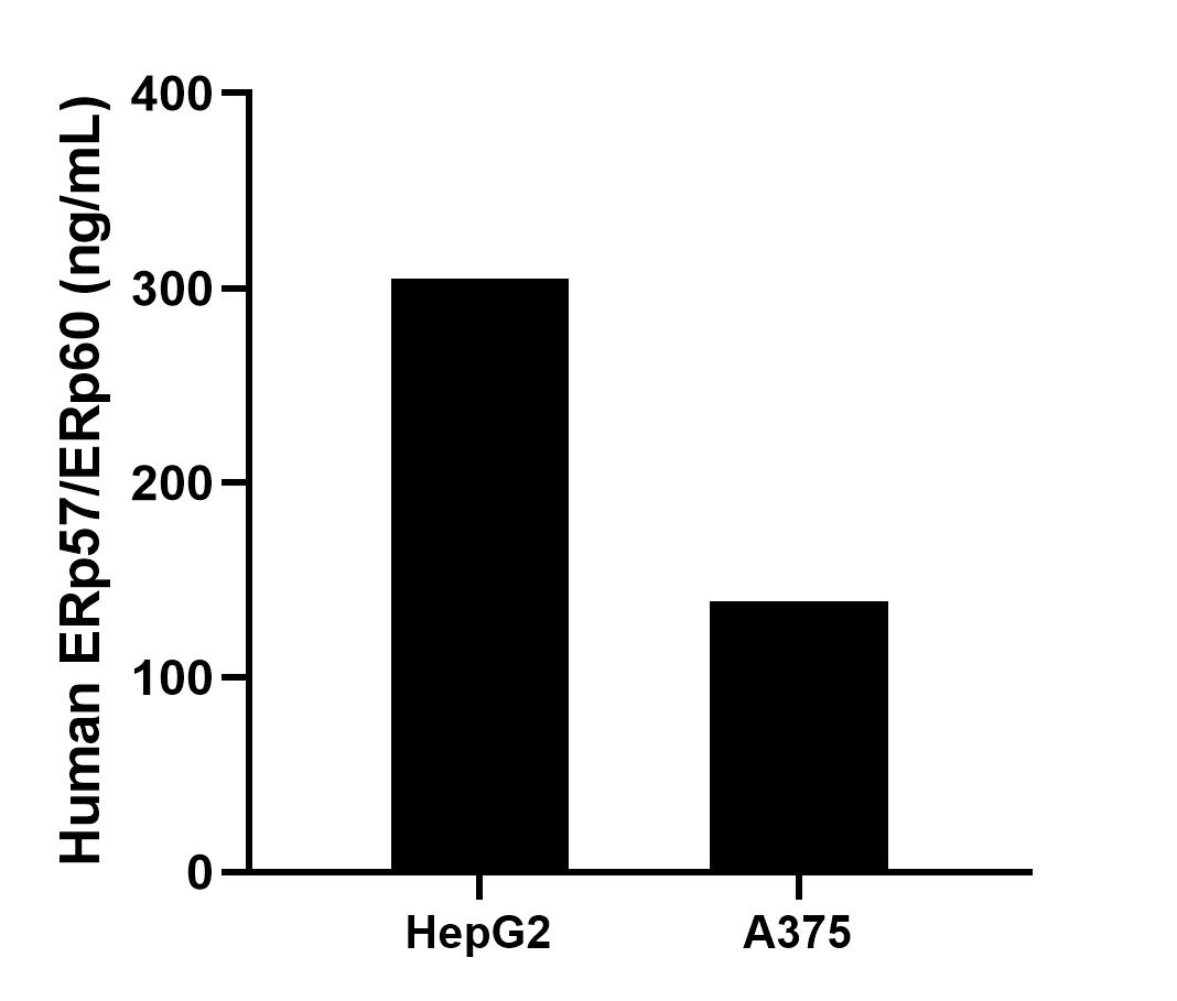 Sample test of MP01779-1