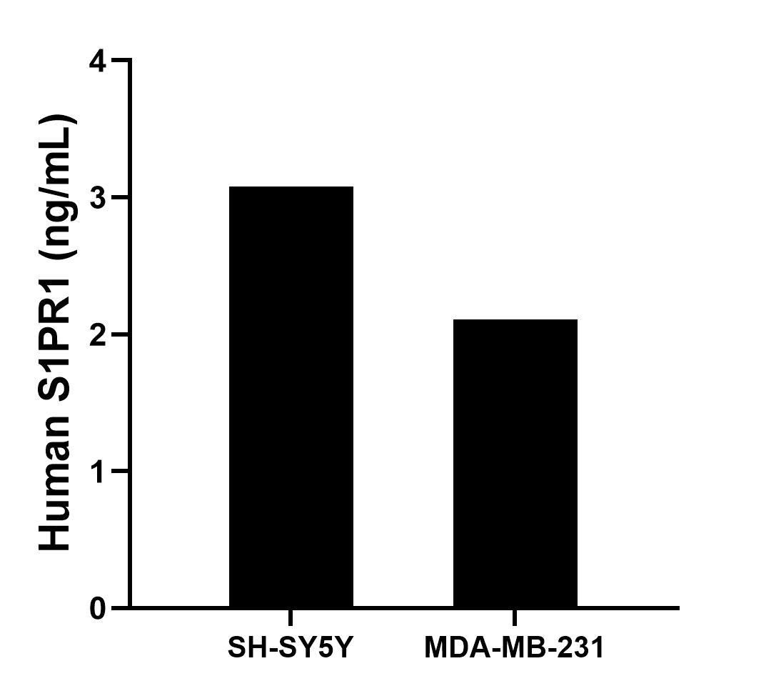 Sample test of MP01781-3