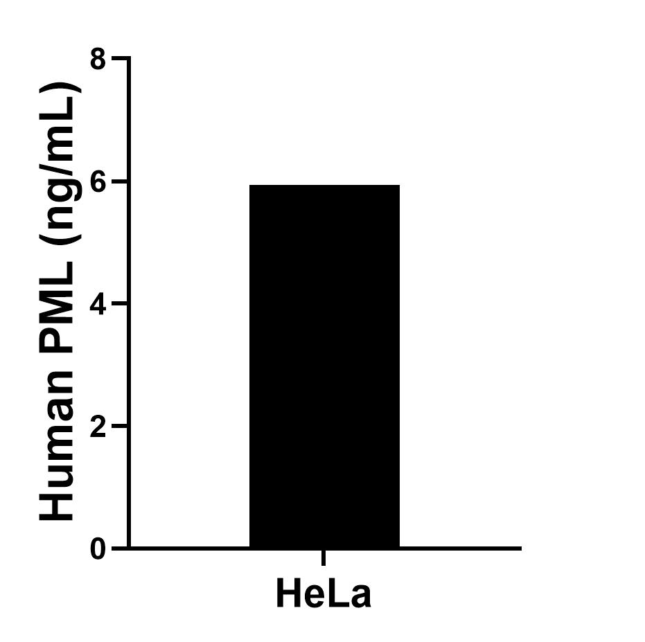 Sample test of MP01806-2