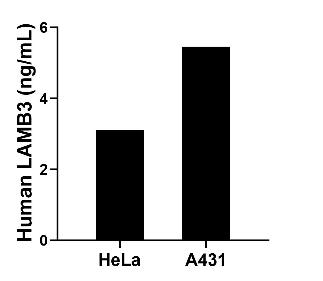 Sample test of MP01812-1