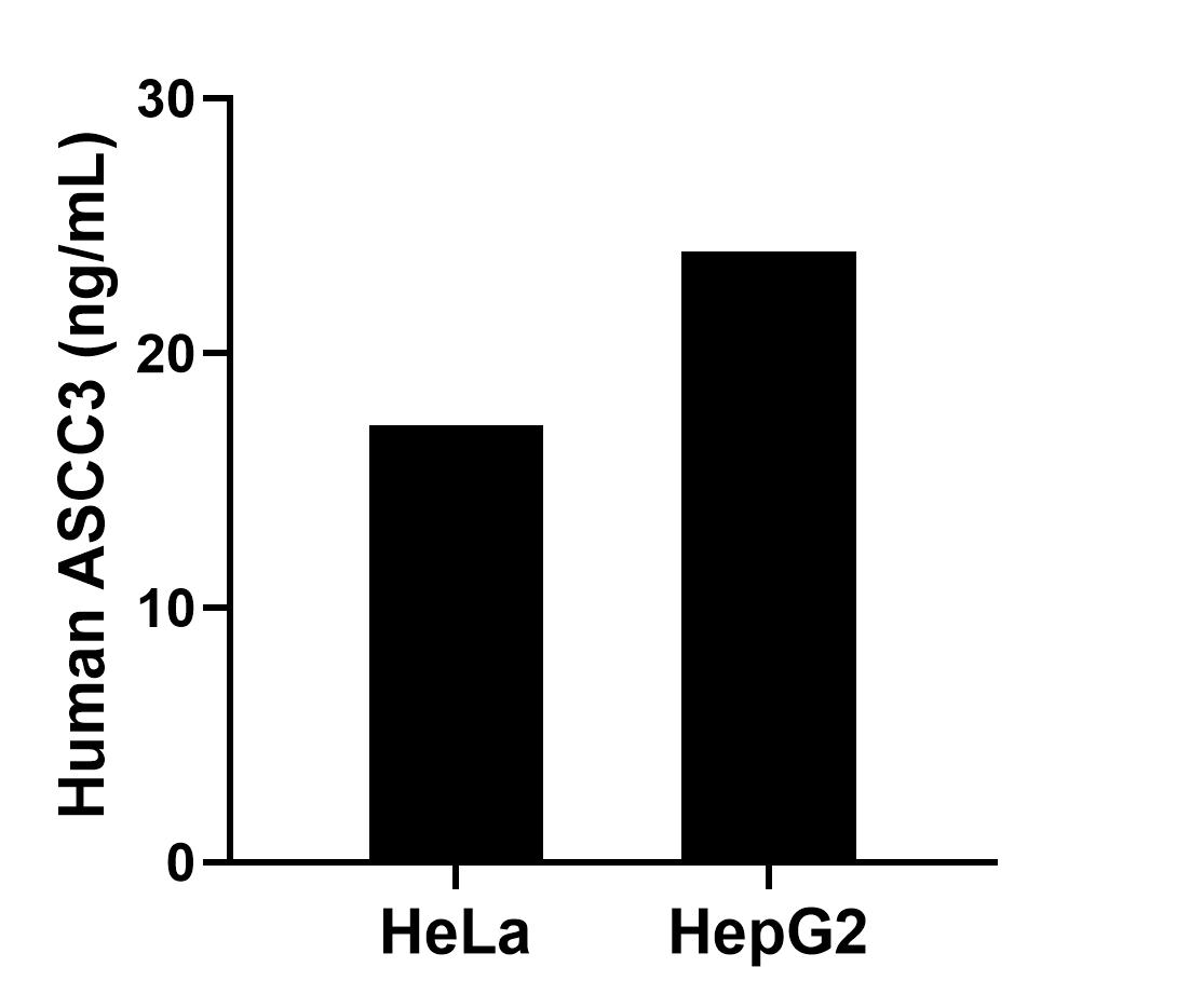 Sample test of MP01828-3