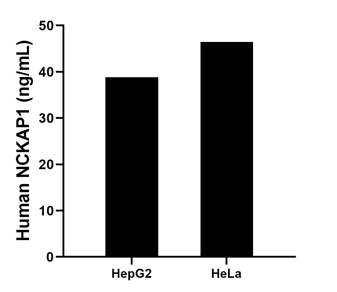 Sample test of MP01841-2