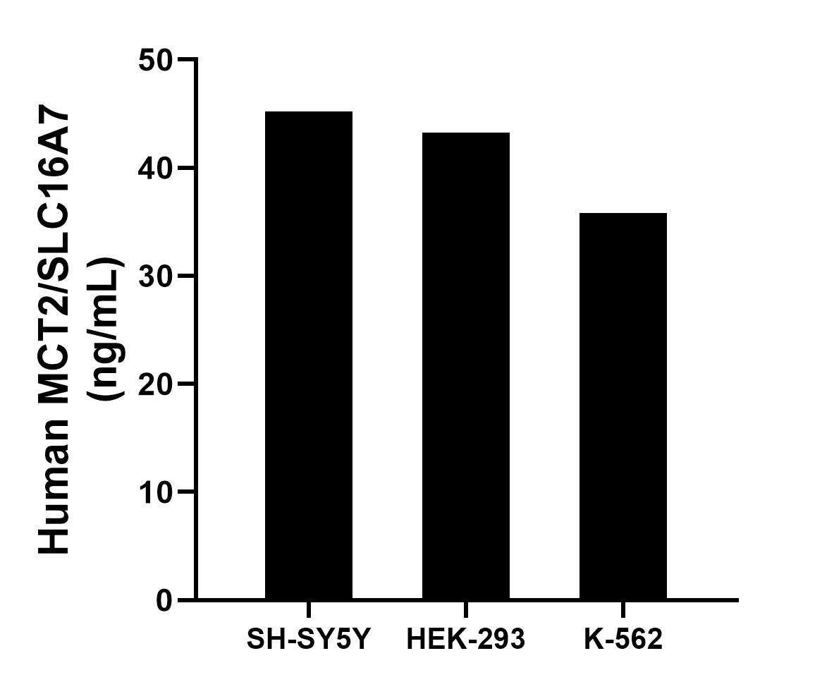 Sample test of MP01851-1