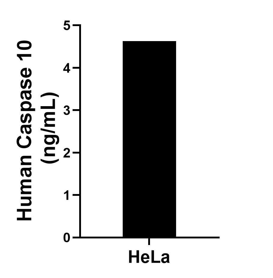 Sample test of MP01855-1