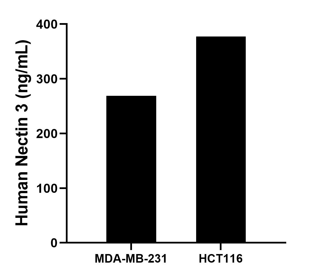 Sample test of MP02144-3