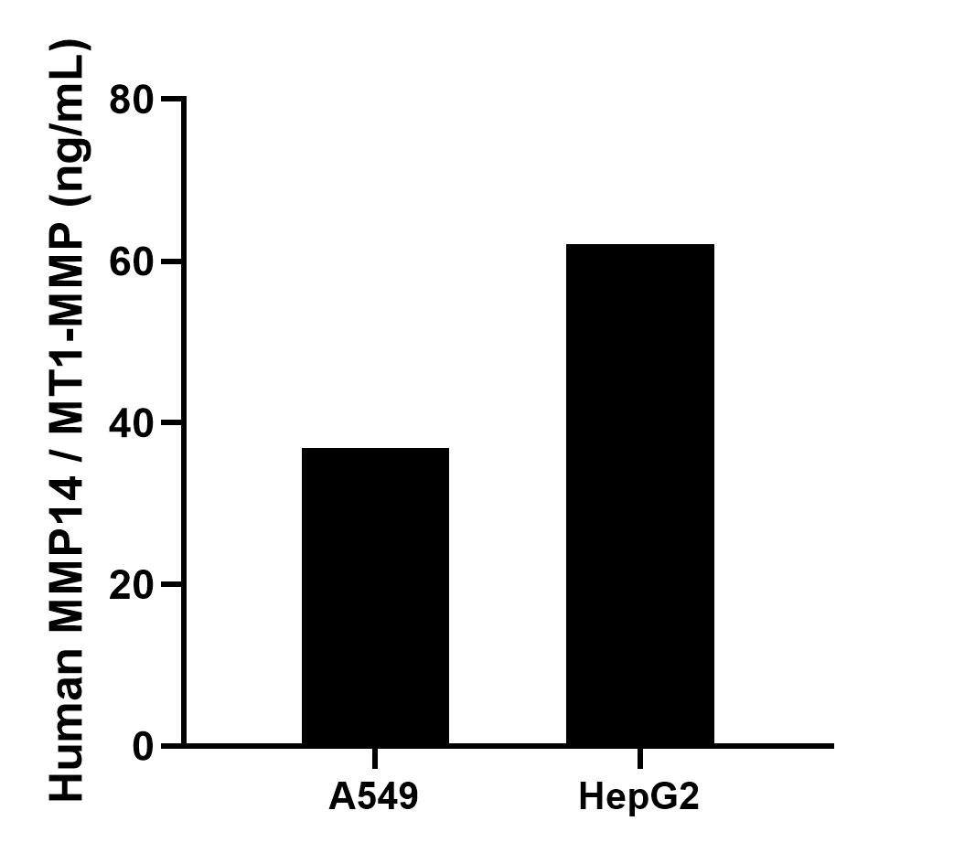 Sample test of MP02214-1