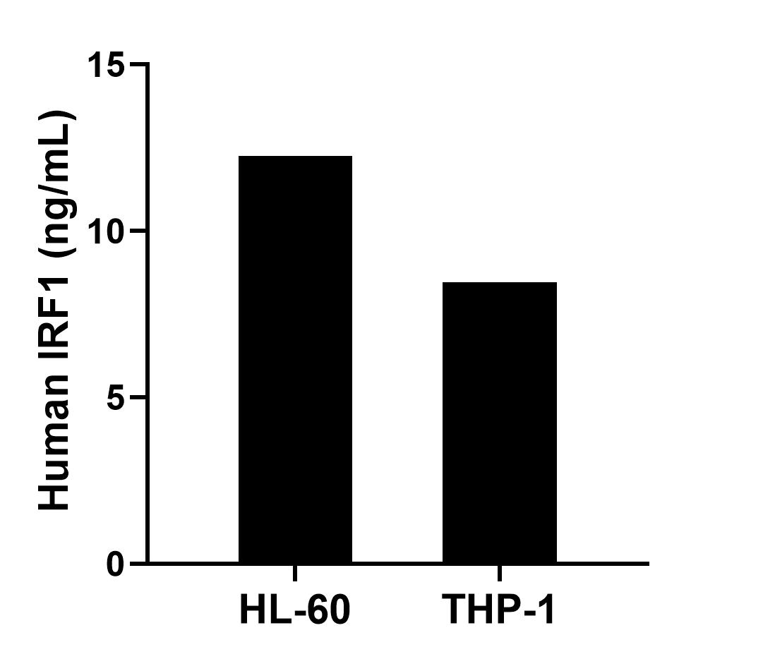 Sample test of MP02217-1