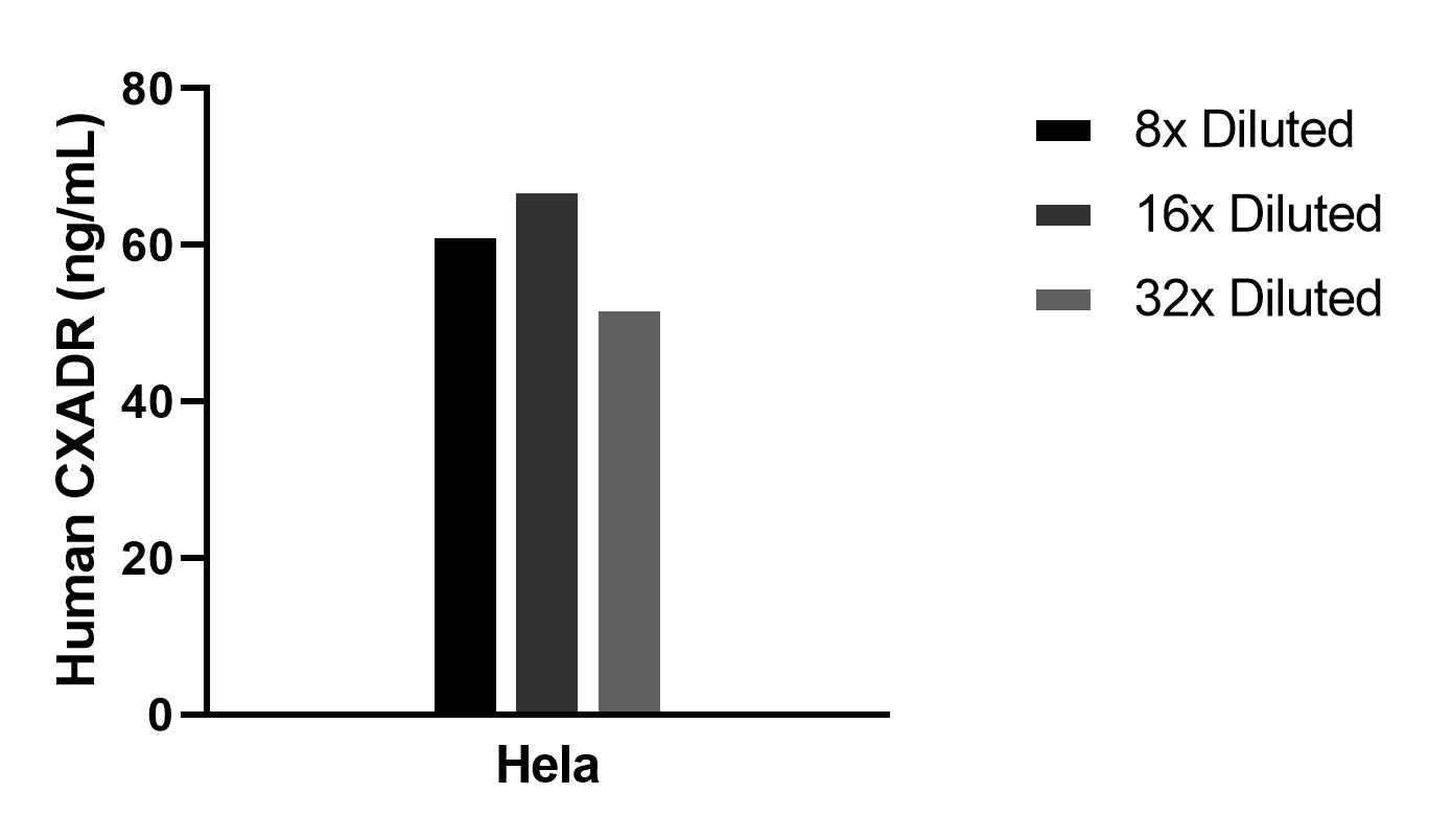 Sample test of MP02296-1