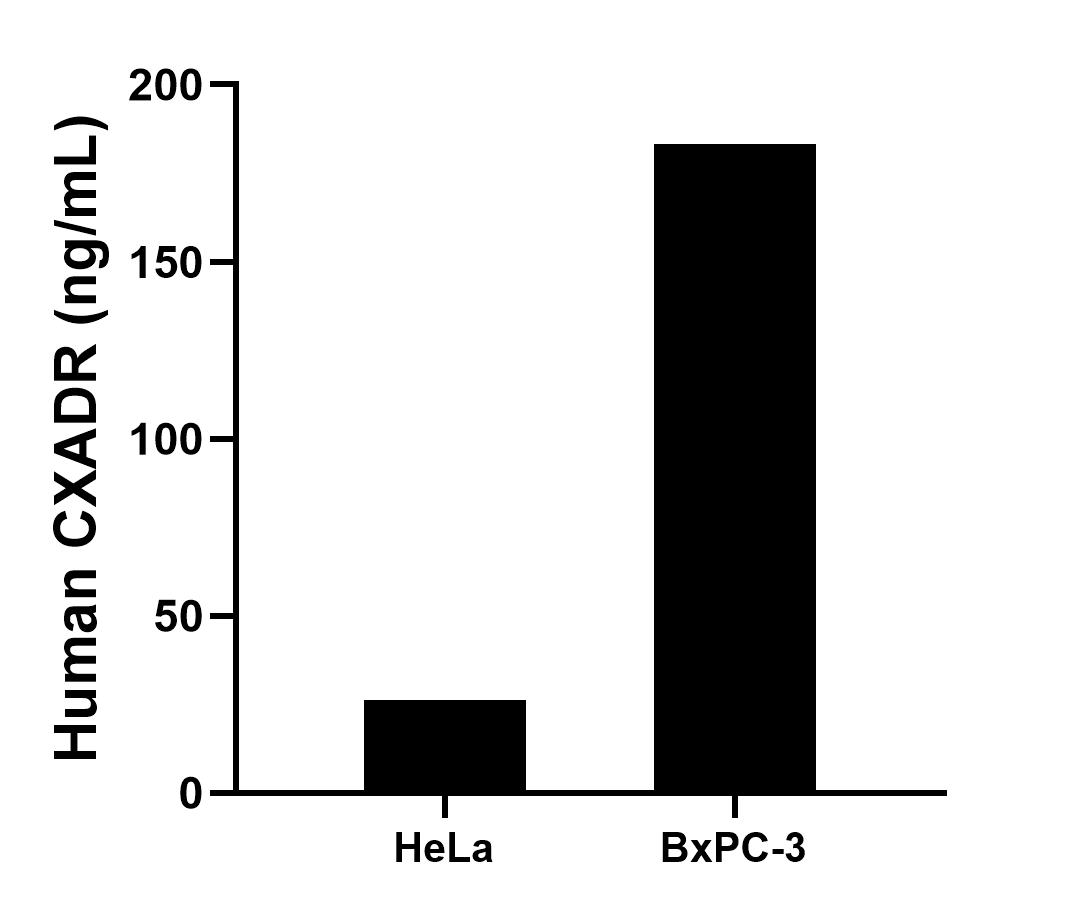Sandwich ELISA sample test of MP02296-2