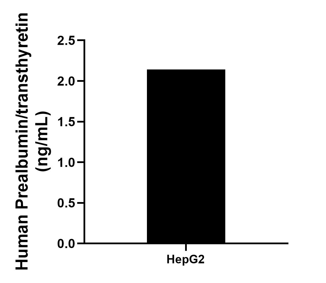 Sample test of MP02304-2