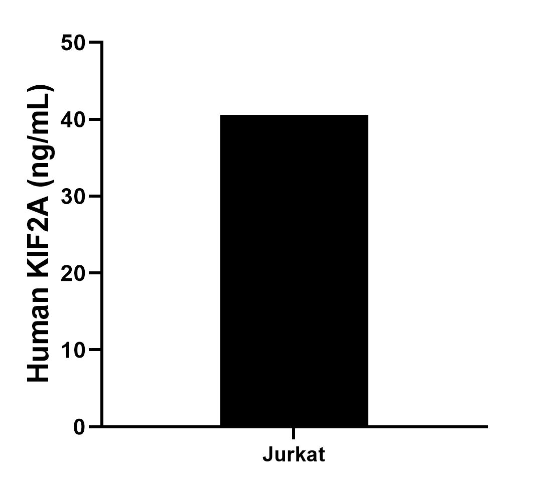 Sample test of MP02320-1