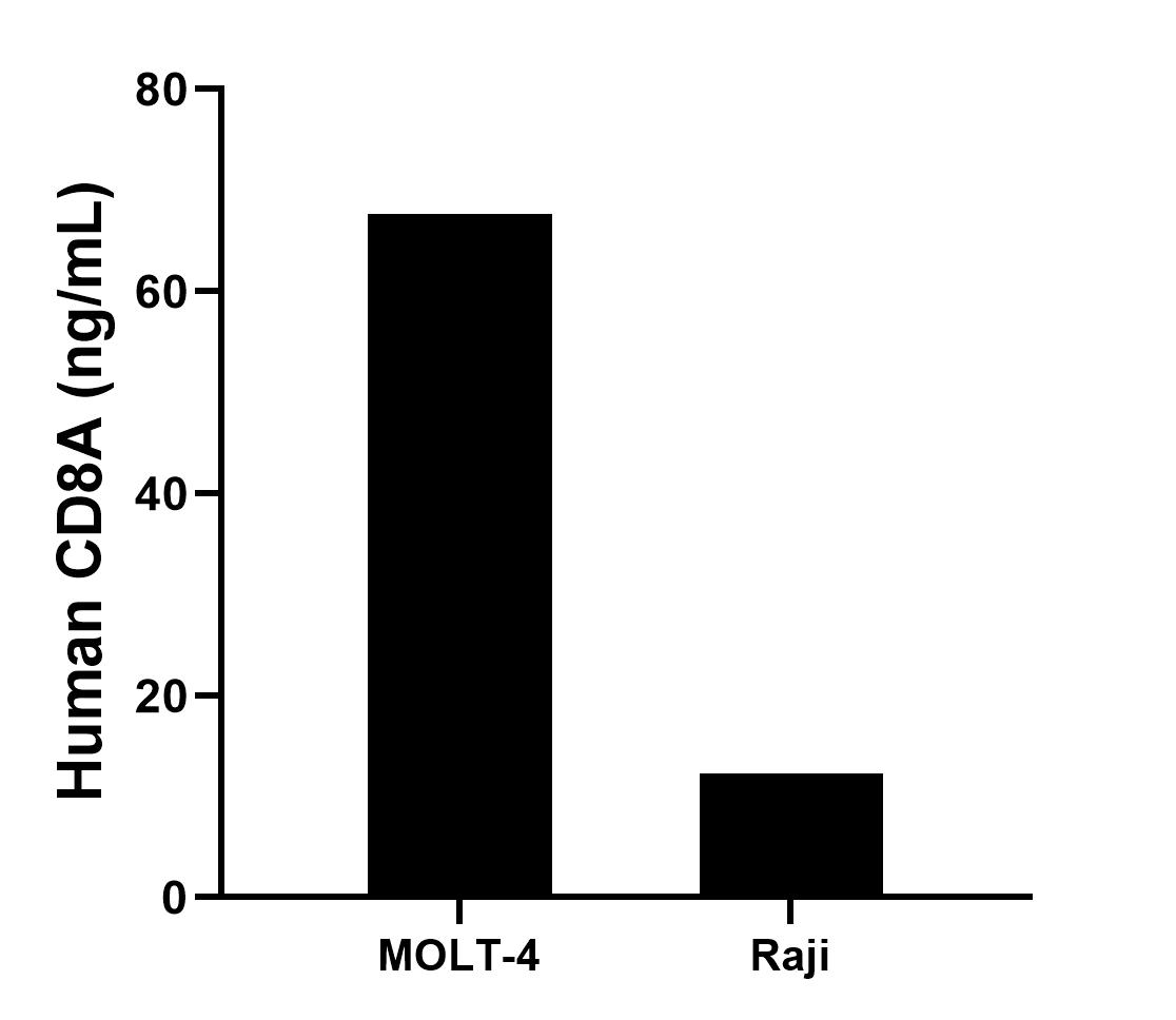The mean CD8A concentration was determined to be 67.70 ng/mL in MOLT-4 cell extract based on a 3.2 mg/mL extract load and 12.30 ng/mL in Raji cell extract based on a 1.8 mg/mL extract load.	