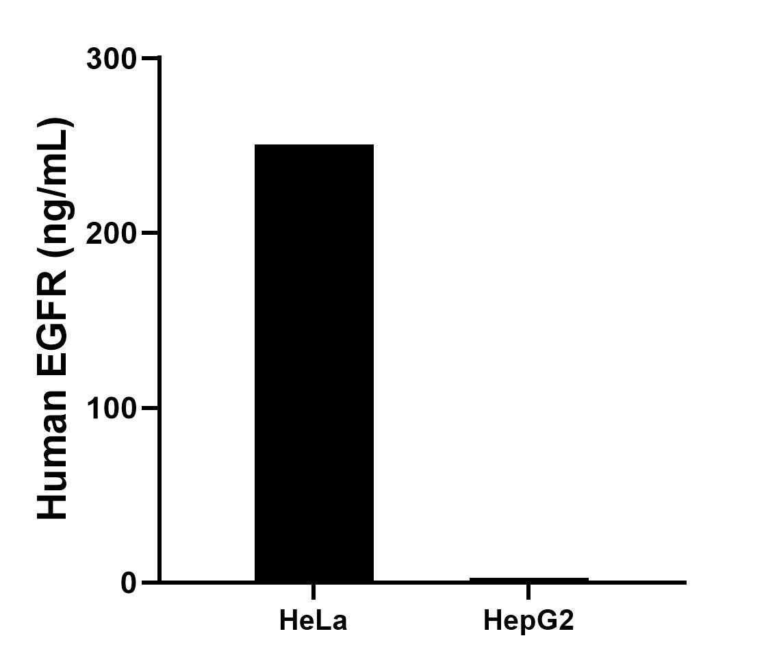 Sample test of MP50069-1