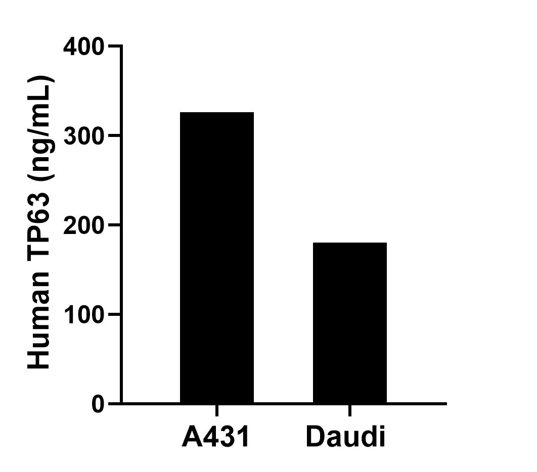 Sample test of MP50229-1