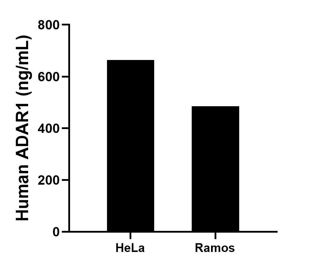 Sample test of MP50240-2