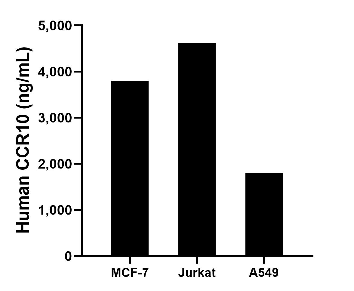 Sample test of MP50812-1