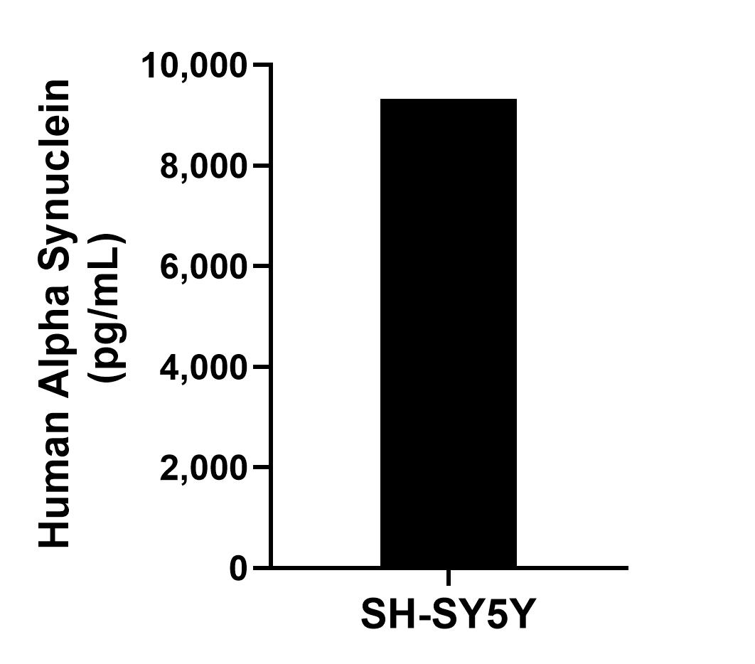 The mean Alpha Synuclein concentration was determined to be 9,321.89 ng/mL in SH-SY5Y cell extract based on a 1.20 mg/mL extract load.