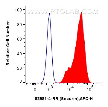 Flow cytometry (FC) experiment of A431 cells using Securin Recombinant antibody (83981-4-RR)