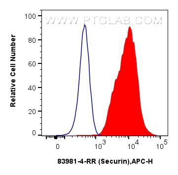 Flow cytometry (FC) experiment of Jurkat cells using Securin Recombinant antibody (83981-4-RR)