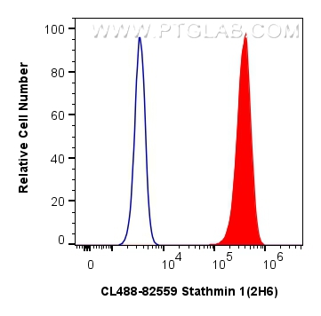 Flow cytometry (FC) experiment of HeLa cells using CoraLite® Plus 488-conjugated Stathmin 1 Recombina (CL488-82559)