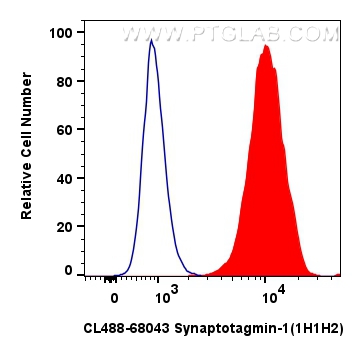 Flow cytometry (FC) experiment of SH-SY5Y cells using CoraLite® Plus 488-conjugated Synaptotagmin-1 Mono (CL488-68043)