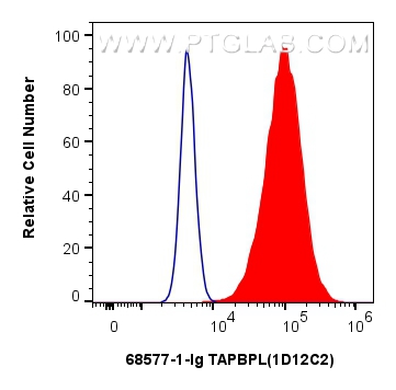 Flow cytometry (FC) experiment of A431 cells using TAPBPL Monoclonal antibody (68577-1-Ig)