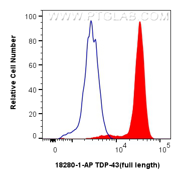 Flow cytometry (FC) experiment of SH-SY5Y cells using TDP-43 (full length) Polyclonal antibody (18280-1-AP)