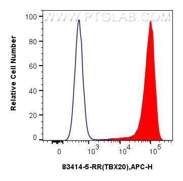 Flow cytometry (FC) experiment of k562 using TBX20 Recombinant antibody (83414-5-RR)