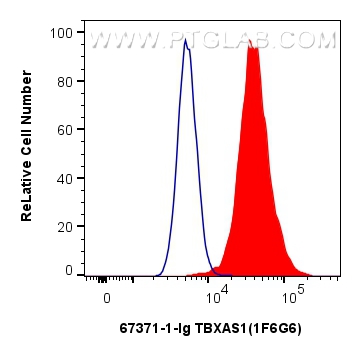 Flow cytometry (FC) experiment of A549 cells using TBXAS1 Monoclonal antibody (67371-1-Ig)