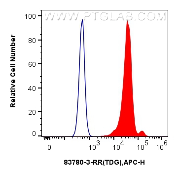 Flow cytometry (FC) experiment of HeLa cells using TDG Recombinant antibody (83780-3-RR)