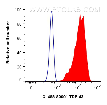 Flow cytometry (FC) experiment of HeLa cells using CoraLite® Plus 488-conjugated TDP-43 Recombinant a (CL488-80001)