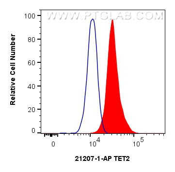 Flow cytometry (FC) experiment of RAW 264.7 cells using TET2 Polyclonal antibody (21207-1-AP)