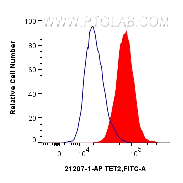 Flow cytometry (FC) experiment of HeLa cells using TET2 Polyclonal antibody (21207-1-AP)