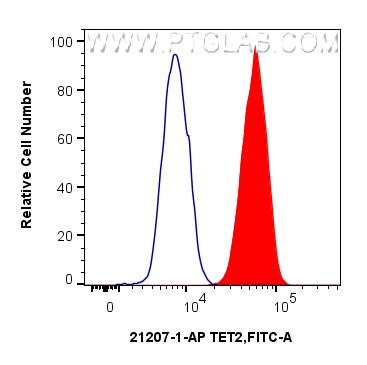 Flow cytometry (FC) experiment of RAW 264.7 cells using TET2 Polyclonal antibody (21207-1-AP)